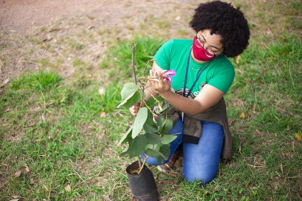 Cotia tem programação especial na Semana do Meio Ambiente