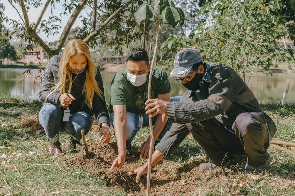 Diversos bairros recebem programa de arborização entre os dias 23 e 27 de agosto