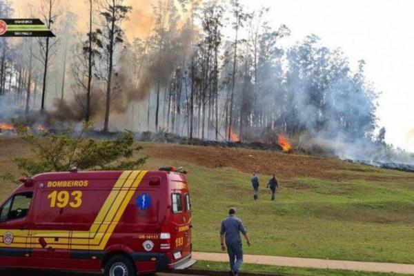 Empresário, esposa e 3 filhos estão entre as vítimas de queda de avião