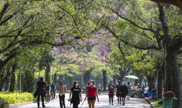 Feriado de Finados deve ter tempo ameno e chuvoso em São Paulo