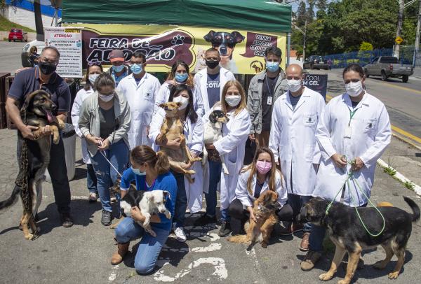 Dia 27/11 é a vez de Caucaia do Alto receber 'Evento de Adoção de Animais'