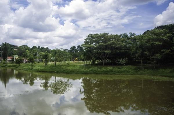 Cotia celebra o Dia da Floresta e o Dia da Água com “Sombra e Água Fresca”