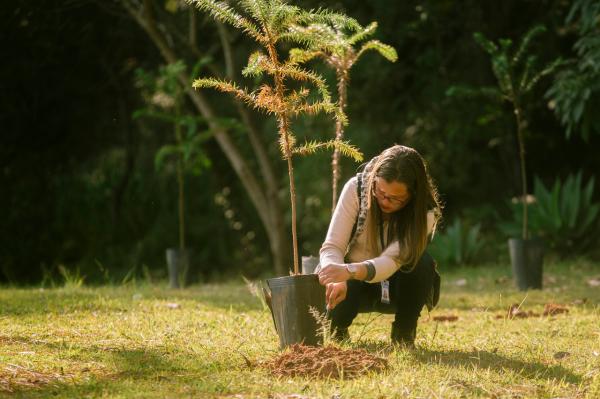 Mês do Meio Ambiente foi lembrado por ações educativas, plantios e distribuição de mudas