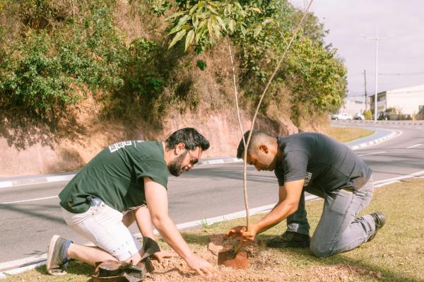 Cotia + Verde celebra ‘Dia da Floresta’ com plantio de Ipês na avenida Joaquim Barreto