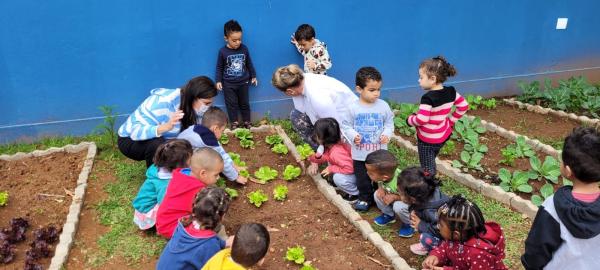 Alunos do C.E Maria Tereza Pastana fazem a primeira colheita do programa ‘Horta nas Escolas’