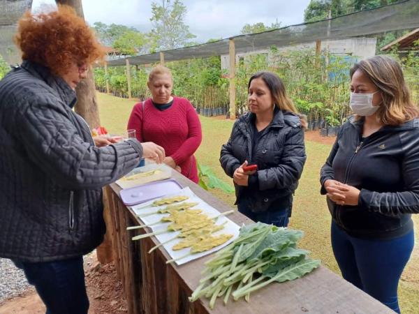 Plante sua “carne”! Abertas as inscrições para a 2ª edição da Oficina ‘Do Mato Para o Prato’