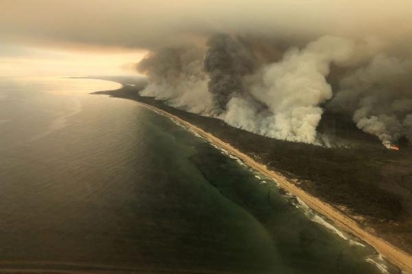 Fogo na Austrália é catástrofe ecológica, diz cientista