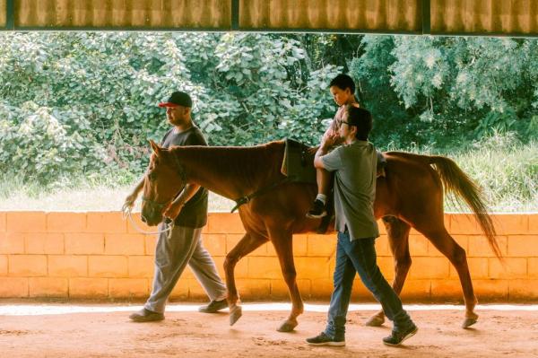 Terapia com animais ajuda na qualidade de vida de pessoas com deficiência