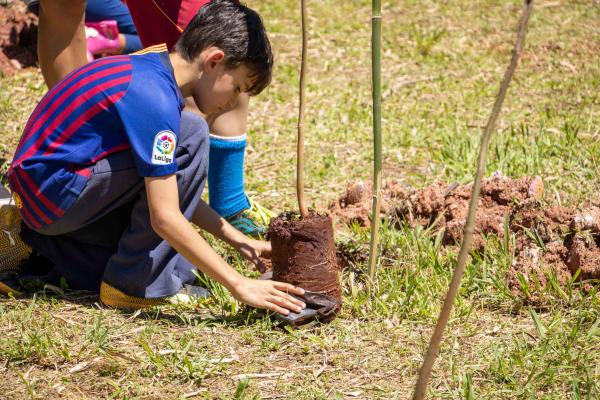 Cotia celebra o Dia da Conservação do Solo com Pedágio Ambiental e plantio de árvores