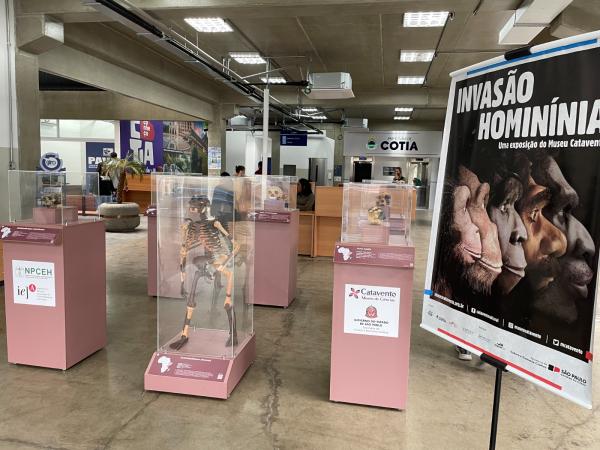 Museu Catavento traz exposição itinerante sobre evolução humana para Cotia