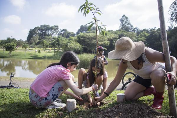 Cotia terá Circuito Ambiental em celebração à Semana Mundial do Meio Ambiente