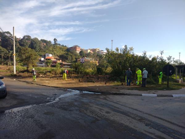 ‘Cotia +Verde’ plantou 200 mudas de árvores em área usada como descarte irregular