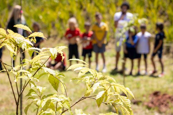 Programação especial marcará a “Semana do Desafio Ambiental” em Cotia