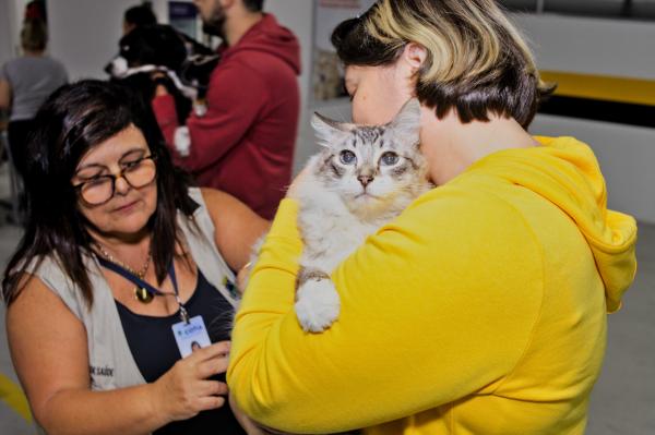 Dia 22/10 acontece mais uma edição da vacinação antirrábica de rotina para cães e gatos