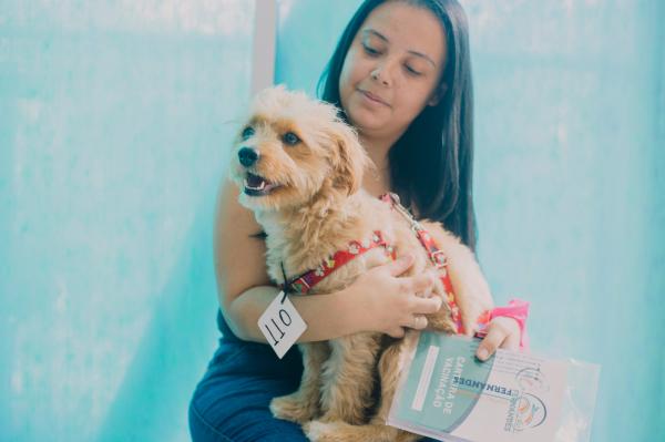 Inscrições abertas para castração de cães e gatos que acontecerá nos dias 9 e 10/12, no Parque São George