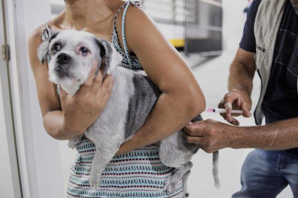 Domingo (17/12), Parque Turiguara recebe Ação de Vacinação Antirrábica para cães e gatos