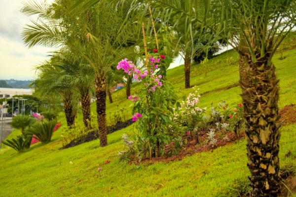 Cotia ganha paisagismo urbano que valoriza o meio ambiente e os produtores locais