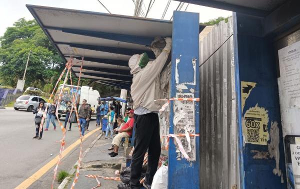 Em parceria com meliponicultor, enxame de marimbondos é retirado de ponto de ônibus 