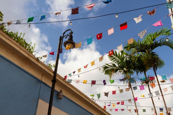 Festa Junina da APAE vai angariar recursos para projetos da instituição