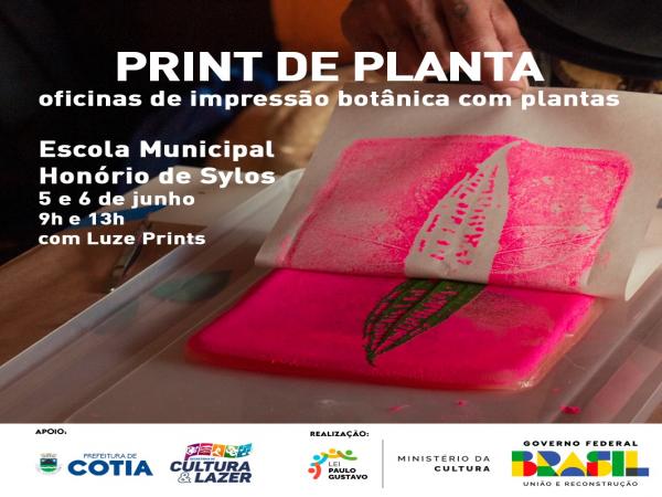 Nos dias 5 e 6/06 acontece a oficina ‘Print de Planta: Impressão Botânica com Plantas’