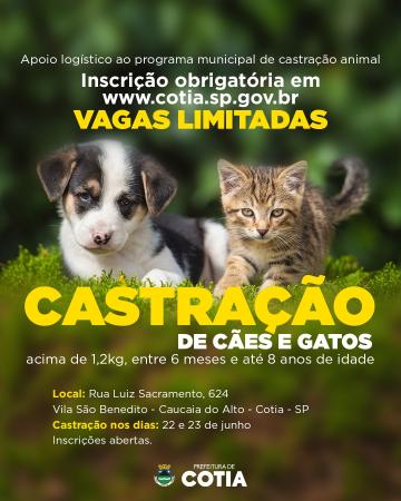 Inscrições abertas para a castração de cães e gatos na Vila São Benedito