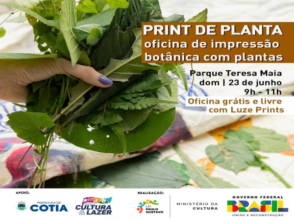 Domingo, 23/06, tem mais uma etapa da oficina ‘Print de Planta: Impressão Botânica com Plantas’