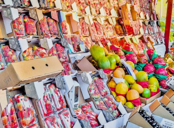 EcoFeira Granja Viana ganha edição especial de inverno no Parque Jequitibá 