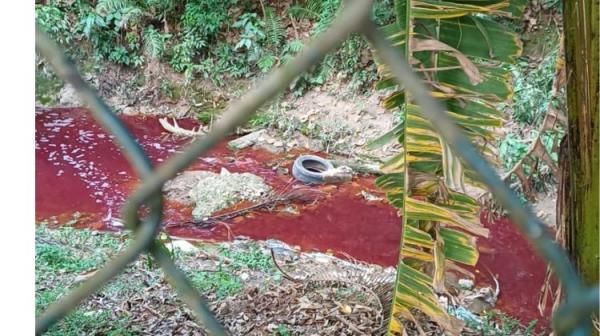 Fiscalização da Prefeitura flagra crime ambiental e lacra fábrica clandestina na divisa com Embu das Artes