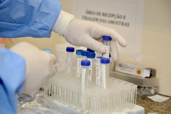 Brasil chega perto da marca de um milhão de casos confirmados da Covid-19; 482 mil estão recuperados